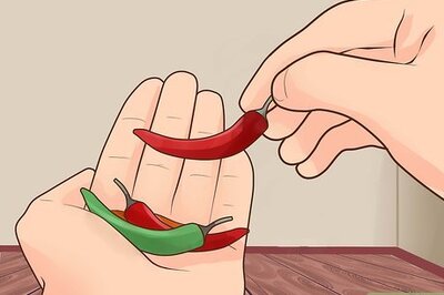 How to Grow and Care for Chili Plants at Home