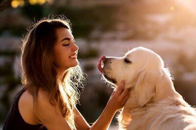 Beat the Heat: Essential Dog Grooming Tips for Summer