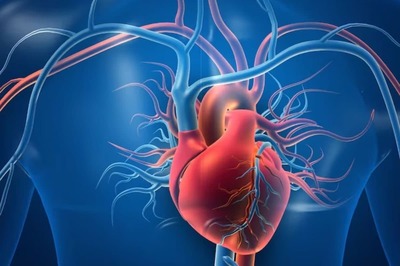 World Heart Day 2023: Tips For Keeping Your Heart Healthy As You Grow Older