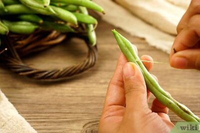 How to Cook Fava Beans