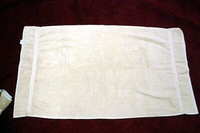 How to Fold a Towel Dog