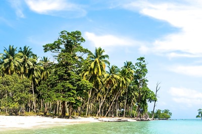 Nearly 9.6 Lakh Trees To Be Felled for Great Nicobar Island Project, Govt Tells Lok Sabha As MPs Raise Concerns