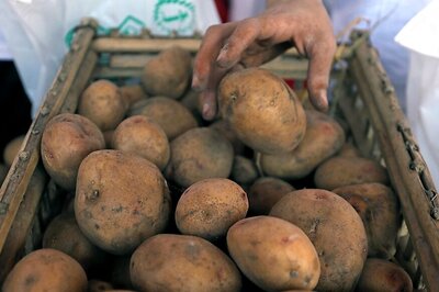 Eating Potato as Effective as Carbohydrate Gels During Prolonged Exercise, Says Study