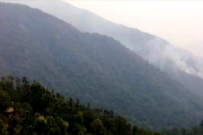 International Day of Forests: 5 Reasons why Greens are Essential for Urban Survival