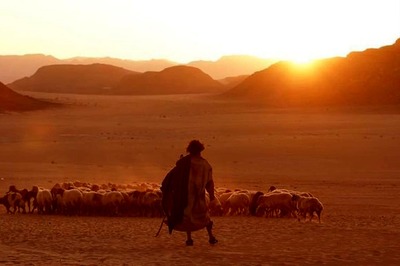 Prithviraj Sukumaran Completes Shooting for His Dream Project Aadujeevitham: '14 Years, Thousand Obstacles...'