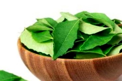 Benefits Of Using Curry Leaves As A Part Of Your Haircare Routine