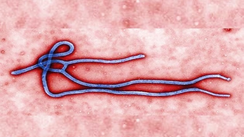 Ebola more deadly for young children: Study