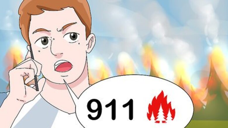 How to Fight a Forest Fire