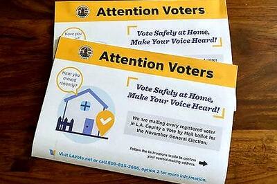 Factbox: What would it take to postpone the U.S. presidential election?