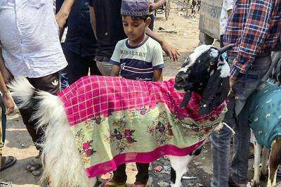 Strictly Follow Govt Guidelines While Offering Sacrifice on Eid, Do Not Share Pictures of Slaughtered Animals: Jamiat to Muslims