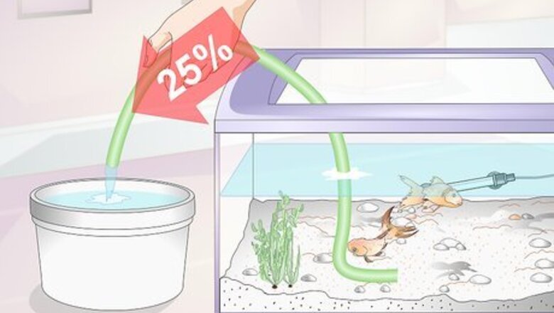How to Control an Algae Bloom