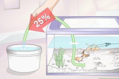 How to Control an Algae Bloom