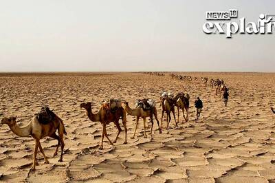 The African Continent is Splitting Apart, & a New Ocean Will be Born | What Does This Mean for Us?