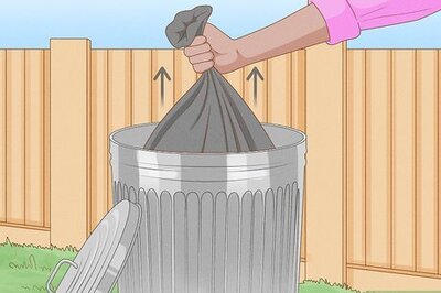 How to Get Rid of a Maggot Infestation