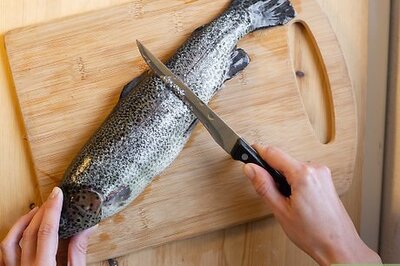 How To Fillet Trout (Rainbow Trout, Brook Trout, & More!)