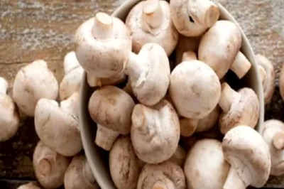 Maintaining Blood Pressure To Weight, 5 Health Benefits Of Mushroom
