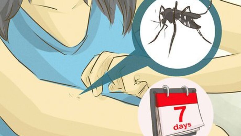 How to Take Care of Dengue Patients