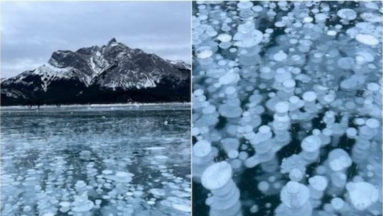 Why People Love To Visit Abraham Lake, One Of The Most Dangerous In Canada