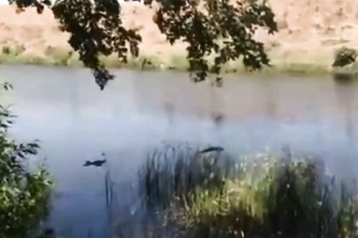 Yogi Adityanath Takes Cognisance of Bodies Dumped in Ganga; UP-Bihar Govts Blame Each Other