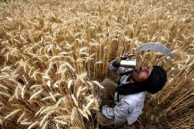 Weather-driven food inflation a headache for India