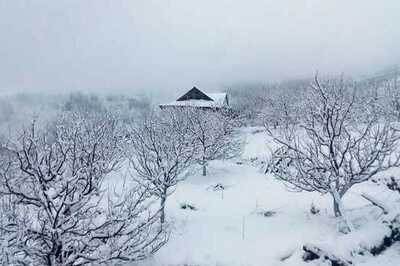 Snowfall in Himachal: Several Roads in Upper Shimla, Manali Blocked