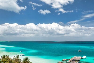 'Please Be A Part Of...': Maldives Appeals For Tourist Support Amid Steep Decline In Indian Visitors