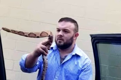 Pastor Who Claimed Immunity To Snake Venom Dies After Rattlesnake Bite