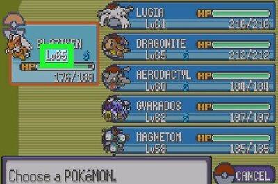 How to Beat the Gym Leaders in Pokémon Emerald, Ruby or Sapphire