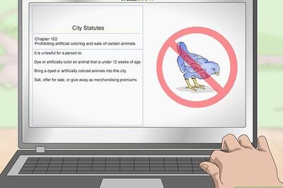 How to Color Chickens