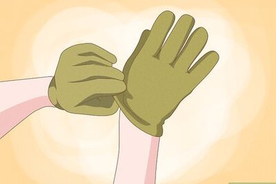 How to Plant Elephant Ear Bulbs in a Pot