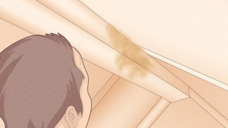 How to Check the Garden Shed for Leaks