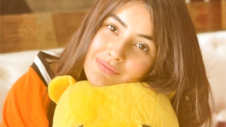 Posing with a Soft Toy, Shehnaz Gill Shares a Happy Picture for Fans