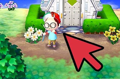 How to Answer Gracie’s Questions on Animal Crossing: Wild World