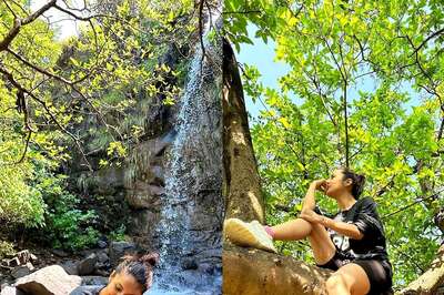 After Partying With Salman Khan, Shehnaaz Gill Revels in Nature, Poses Alongside Cute Dog in Viral Pics