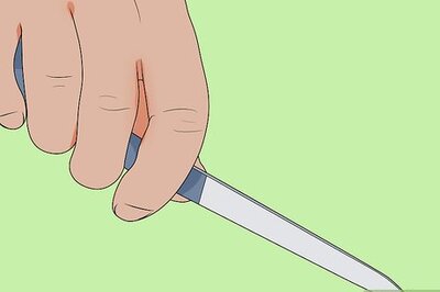 How to File a Dog's Nails