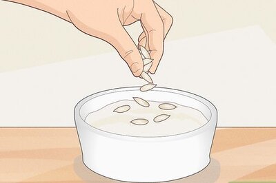 How to Replace Nuts in Your Diet