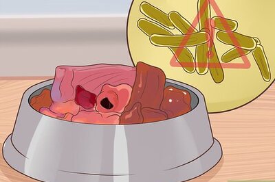 How to Make a Raw Food Diet for Dogs