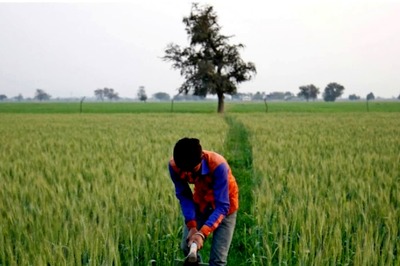 Telangana’s ‘Friend of Farmer’ Scheme: With Rythu Bandhu’s Success, BRS Aims At 'Kisan Sarkar'