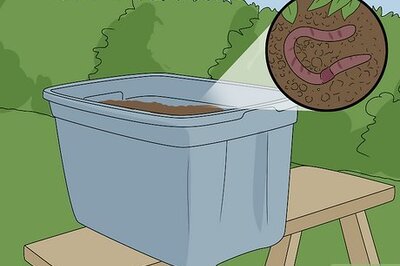 How to Make a Worm Compost System