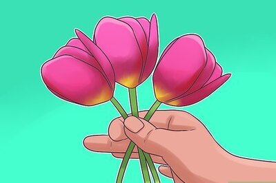 How to Arrange Tulips