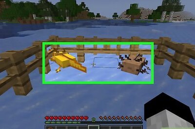 A Step-by-Step Guide to Axolotl Breeding in Minecraft