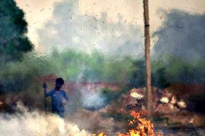 At Least 18 Farmers Arrested In Haryana's Kaithal For Stubble-Burning