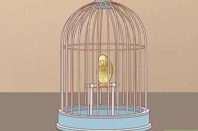 How to Keep Multiple Canaries