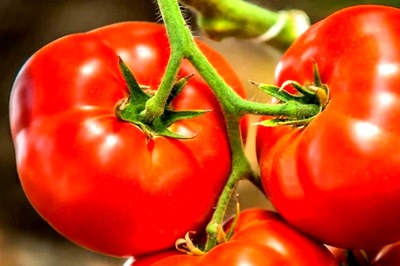 Why Tomatoes Should Be Part Of Your Skincare Regimen