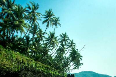 Beachside House in Alibaug Goes for Sale at Rs 80 Crore; Report Says Property Rates Surged After Covid