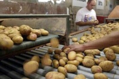 Here're your bombs, want ketchup?