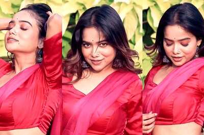 Sexy Video! Manisha Rani Flaunts Her Hot Curves In A Satin Pink Saree, Video Goes Viral; Watch