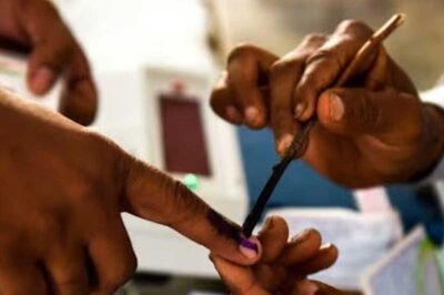 UP Local Body Polls: Samajwadi Party Declares Mayoral Candidate for Kanpur