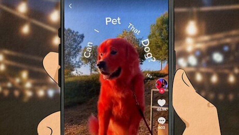 What Does “Can I Pet That Dog” Mean? (& Why Is It Funny?)
