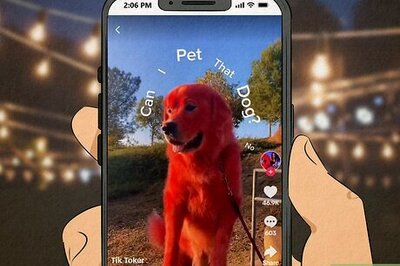 What Does “Can I Pet That Dog” Mean? (& Why Is It Funny?)